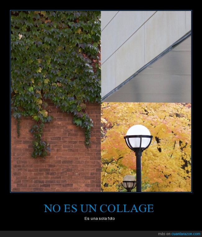 4 zonas,esquinas,cuatro,collage,foto